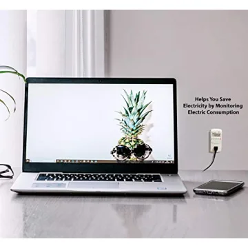 Monitor Your Energy Usage with P3 P4400 Kill A Watt