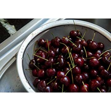 LiveFresh Large Stainless Steel Fine Mesh Strainer with Reinforced Frame and Sturdy Rubber Handle Grip - Designed for Chefs and Commercial Kitchens & Perfect for Your Home - 9 Inch / 23 cm Diameter