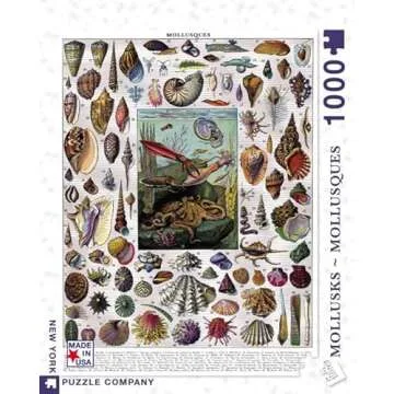 New York Puzzle Company - Vintage Images Mollusks - 1000 Piece Jigsaw Puzzle for Adults by Adolphe Philippe Millot