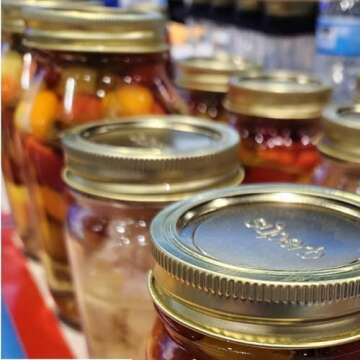 Superb Sealing Solutions Pint Caning Jars with Lids