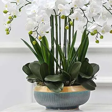 Hinyo 9 Pcs Big Size Artificial Green Phalaenopsis Artificial Orchid Leaves Green Plant Garden Bonsai Décor