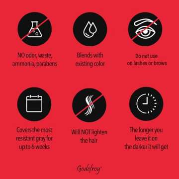 Godefroy Hair Color Kit for Spot Coloring, Covers Up Gray Hairs, Natural Black, 4-Application Kit