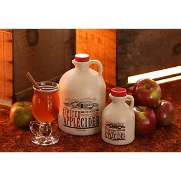 Mountain Cider Apple Cider Concentrate | Spiced Hot Apple Cider Drink | 16 fl. oz (16 servings)