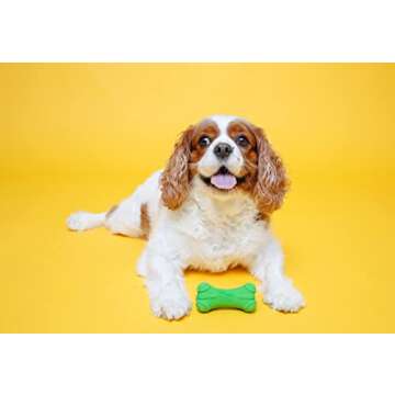 Hartz DuraPlay Bone Toy Pack for Medium Dogs