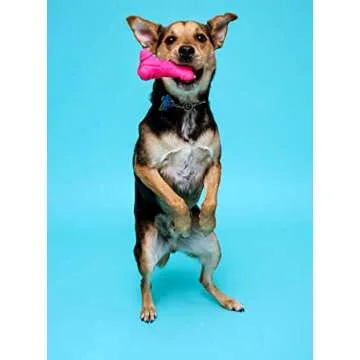 Hartz DuraPlay Bone Toy Pack for Medium Dogs