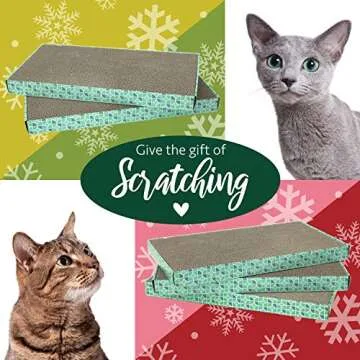 Ultimate Cat Care Kit: Scratch Pad, Scoop & More
