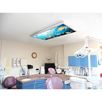OCTO LIGHTS Fluorescent Light Covers - Reduce Glare & Enhance Style