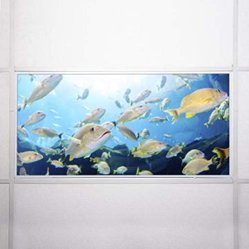 OCTO LIGHTS Fluorescent Light Covers - Reduce Glare & Enhance Style