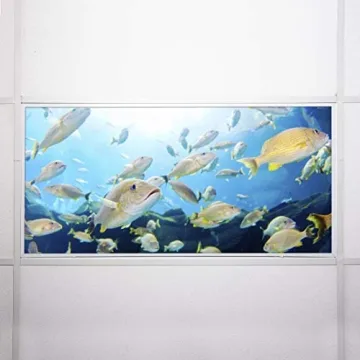 OCTO LIGHTS Fluorescent Light Covers - Reduce Glare & Enhance Style