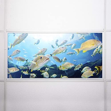 OCTO LIGHTS Fluorescent Light Covers - Reduce Glare & Enhance Style
