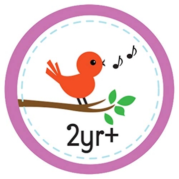 Noah's Ark Picture Storybook for Ages 2-8