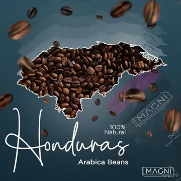 Magni Coffee Light Roast Whole Beans Low Acid Organic