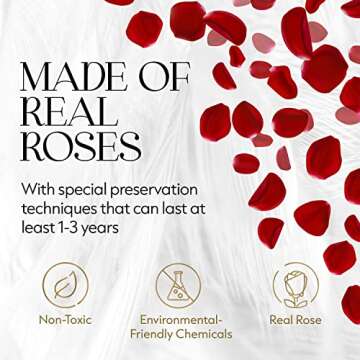 GLAMOUR BOUTIQUE Preserved Roses in a Box - Valentines Day Gifts for Her, Wife & Mom, 9-Piece Rose F...