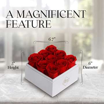 GLAMOUR BOUTIQUE Preserved Roses in a Box - Valentines Day Gifts for Her, Wife & Mom, 9-Piece Rose Flowers Forever Decor for Birthday Gift, Long Lasting Flower Bouquet for Mothers Day - Red