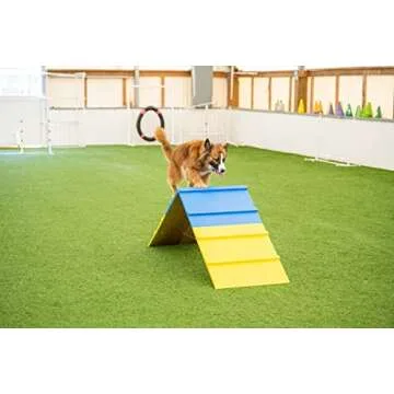 Better Sporting Dogs Agility A-Frame | Dog Agility Equipment | Dog Agility Course Equipment