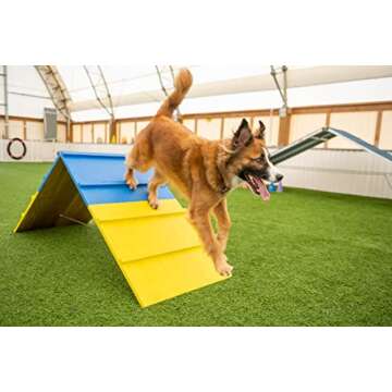 Better Sporting Dogs Agility A-Frame | Dog Agility Equipment | Dog Agility Course Equipment