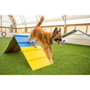 Better Sporting Dogs Agility A-Frame | Dog Agility Equipment | Dog Agility Course Equipment