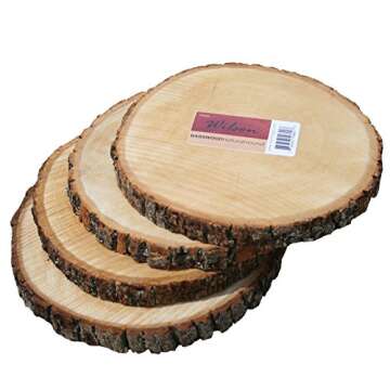 Wilson Basswood Round Rustic Wood Slice for Natural Décor, DIY Crafts (7-9") Set of Four