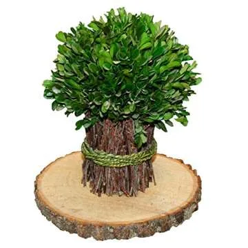 Wilson Basswood Round Rustic Wood Slice for Natural Décor, DIY Crafts (7-9") Set of Four