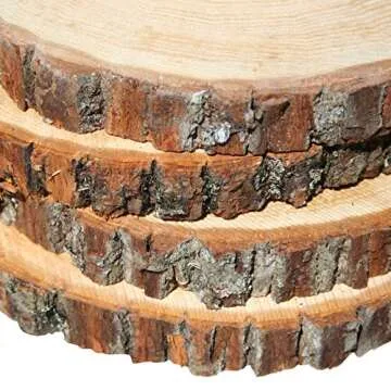 Wilson Basswood Round Rustic Wood Slice for Natural Décor, DIY Crafts (7-9") Set of Four