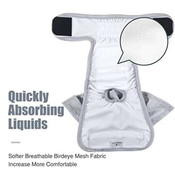 Wegreeco Dog Diapers Female - Stylish & Highly Absorbent