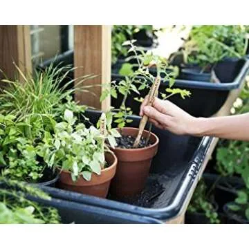 Eco-Friendly Bamboo Toothbrush for Adults | Brush with Bamboo