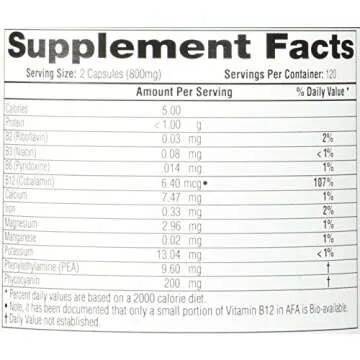 E3LIVE BrainON - Wild-Harvested AFA Extract for Mood Balance & Focus 240 Count