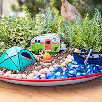 Sedum Tile Live Succulent Planner Lush Easy Care Mat