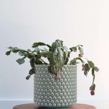 Bloomingville Coastal Stoneware Pot with Raised Dots and Crackle Glaze, Sky Blue, 6"