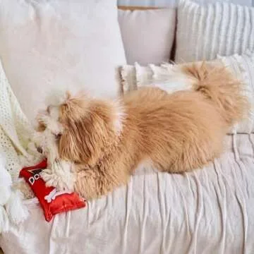 Ethical Pet Fun Food Dogritos Chips Toy for Dogs