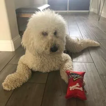 Ethical Pet Fun Food Dogritos Chips Toy for Dogs
