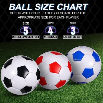 Libima 12 Pcs Soccer Balls with Pump - Size 5 for All Ages