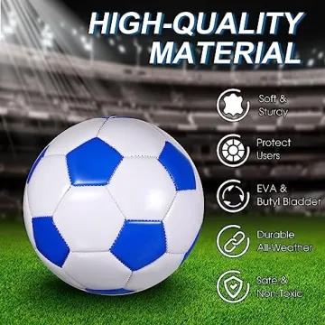 Libima 12 Pcs Soccer Balls with Pump - Size 5 for All Ages