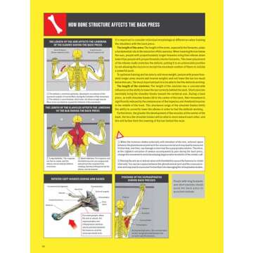 Strength Training Anatomy