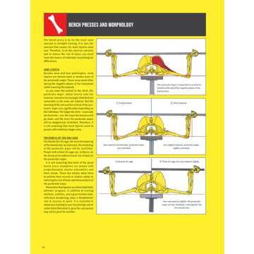 Strength Training Anatomy
