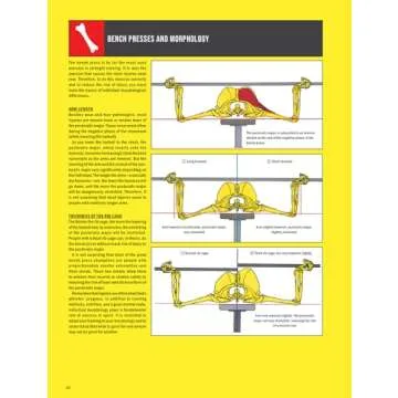 Strength Training Anatomy