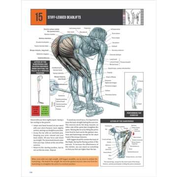 Strength Training Anatomy