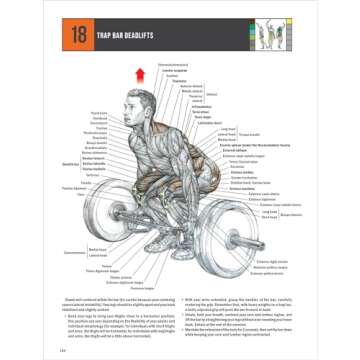 Strength Training Anatomy