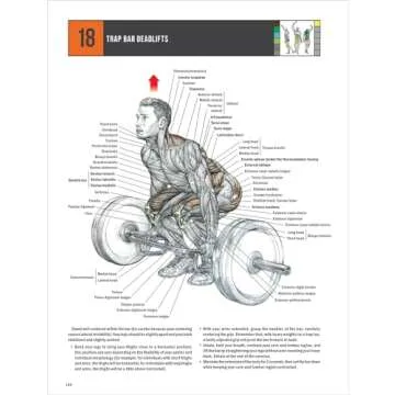Strength Training Anatomy