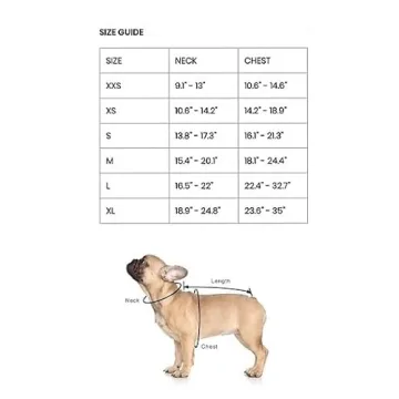 Premium Dog Harness for Comfortable & Stylish Walks