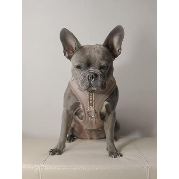 Premium Dog Harness for Comfortable & Stylish Walks
