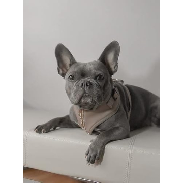 Premium Dog Harness for Comfortable & Stylish Walks