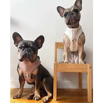 Premium Dog Harness for Comfortable & Stylish Walks