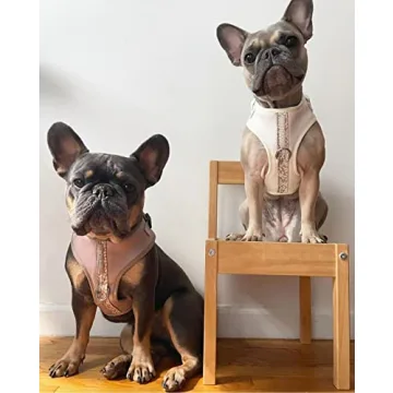 Premium Dog Harness for Comfortable & Stylish Walks