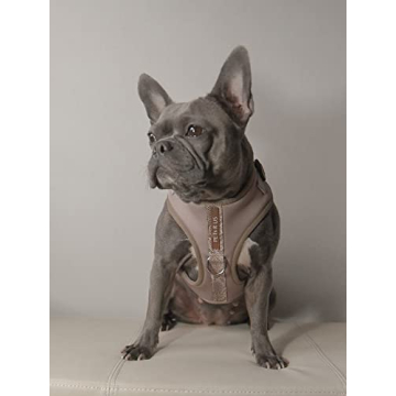 Premium Dog Harness for Comfortable & Stylish Walks