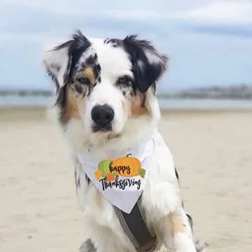 Family Kitchen Happy Thanksgiving Day Fun Pet Puppy Dog Bandana Scarf Decorations Accessories, Pet Scarves for Dog Lovers Owner Gift