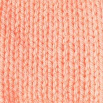 Caron One Pound Peach Yarn - 2 Pack for Knitting & Crochet