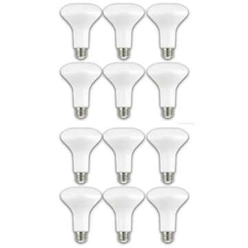 LED TECHNOLOGY EcoSmart 65-Watt Equivalent BR30 Dimmable LED Light Bulb Daylight (12-Pack)