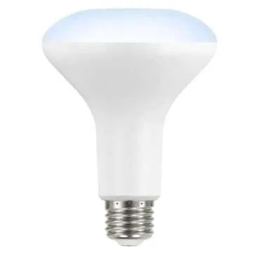 LED TECHNOLOGY EcoSmart 65-Watt Equivalent BR30 Dimmable LED Light Bulb Daylight (12-Pack)