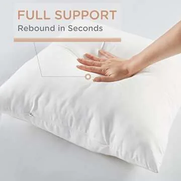 Codi Outdoor Pillow Inserts 20x20 Set of 2 Waterproof